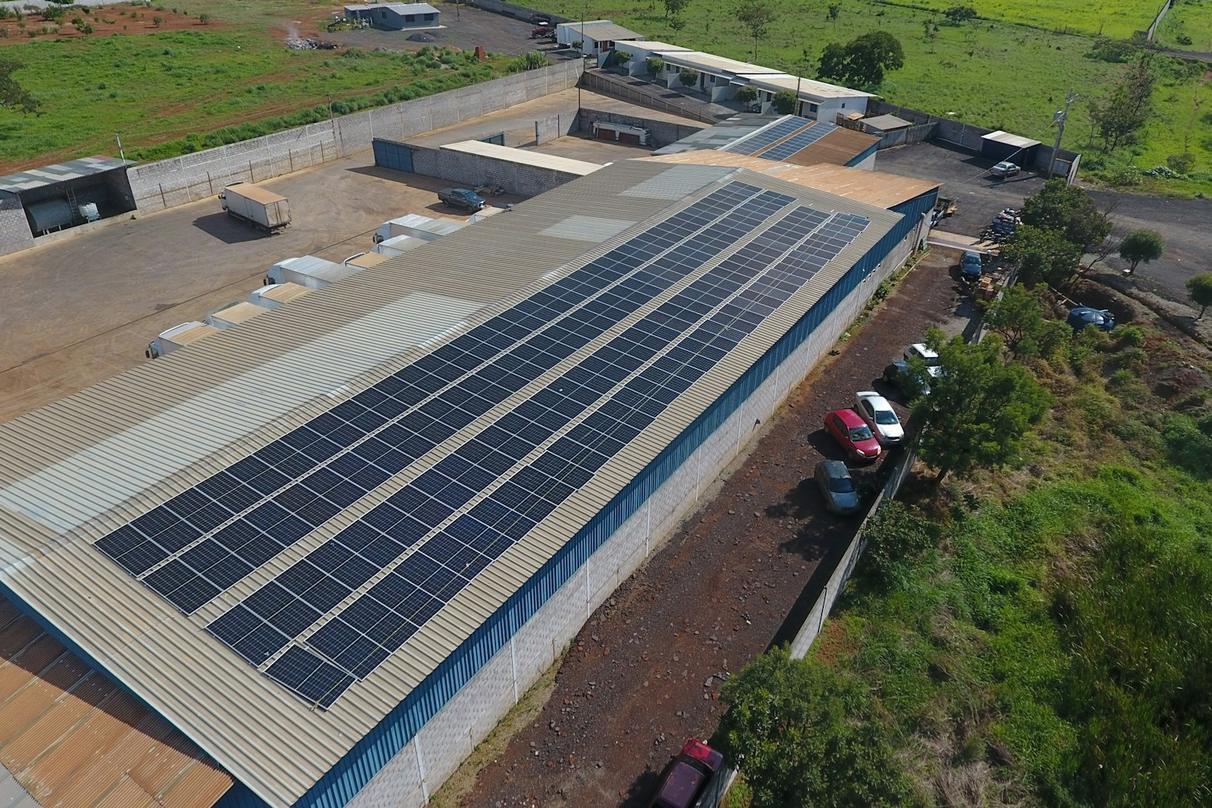 Solar panels installed across the roof of an industrial site